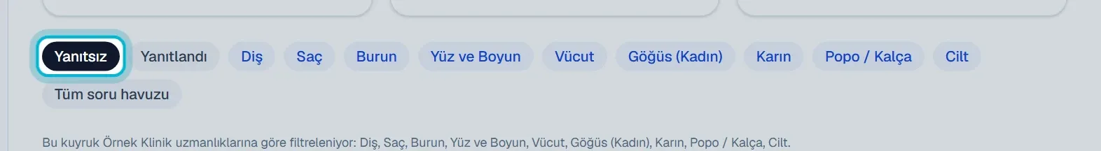 Soru-Cevap sekmeleri, kategori düğmeleri ve filtre notu